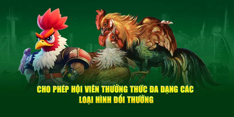 da-ga-noi-da-dang-cac-loai-hinh-doi-thuong