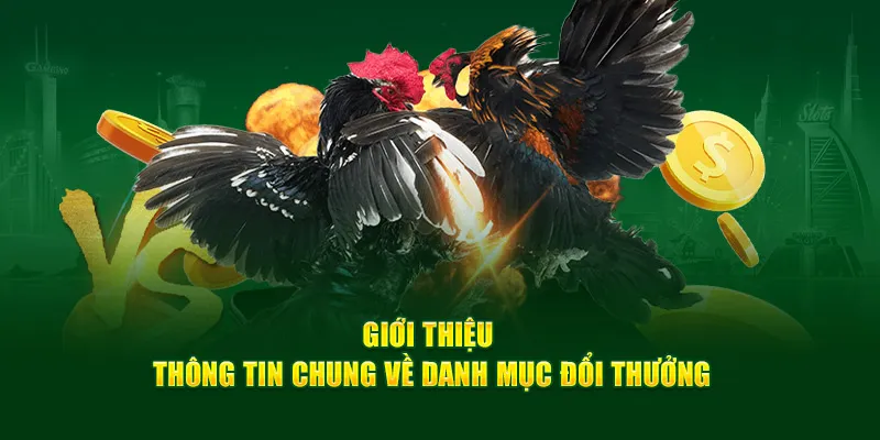 gioi-thieu-doi-thuong-da-ga-don