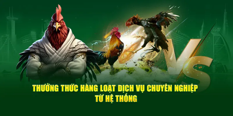 hang-loat-dich-vu-chuyen-nghiep-tu-he-thong-da-ga-don