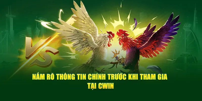 nam-ro-thong-tin-khi-tham-gia-da-ga-noi-tai-cwin